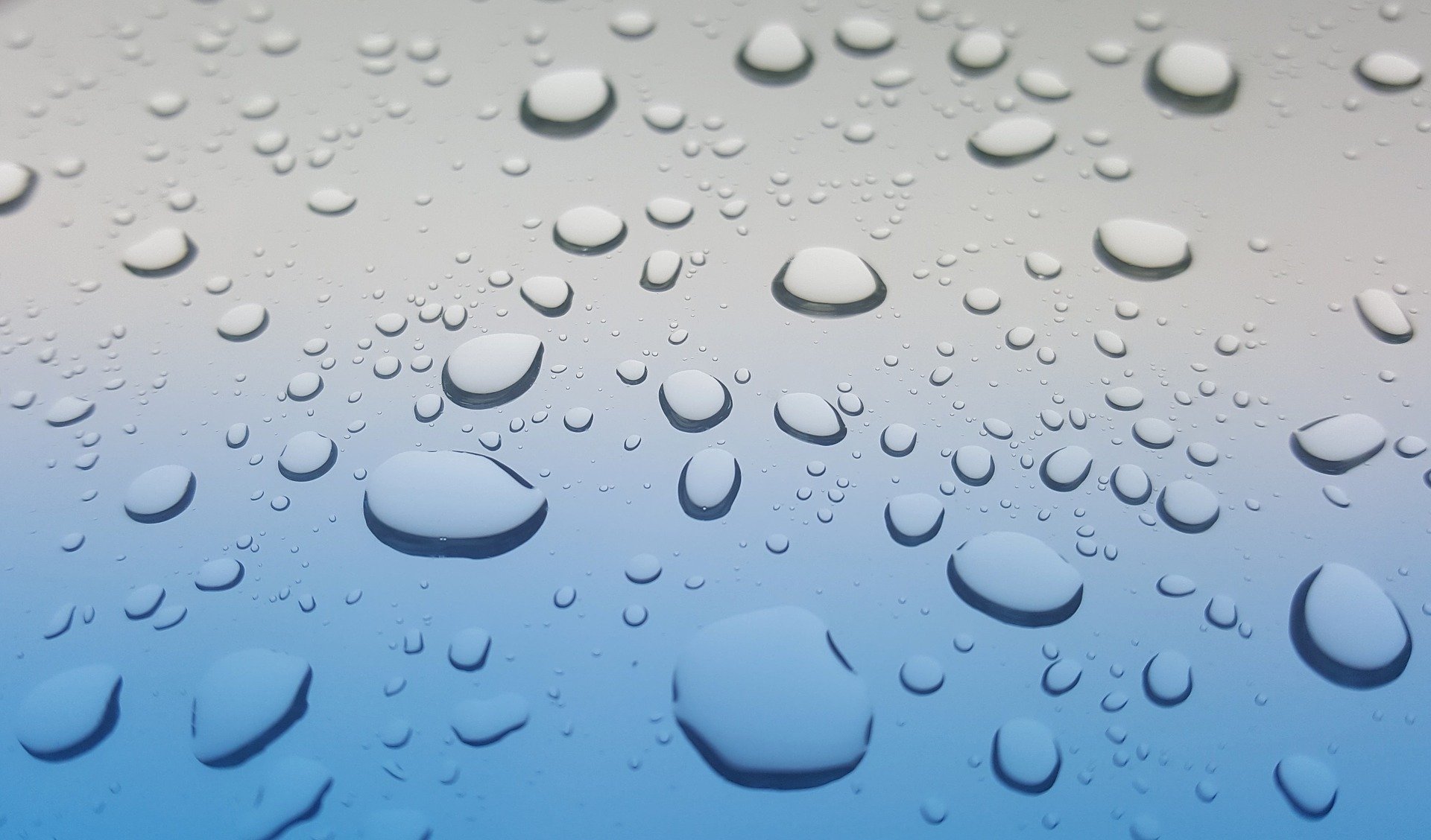 best waterproof smartphones in india