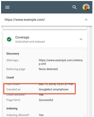 Google Search Console Coverage Section