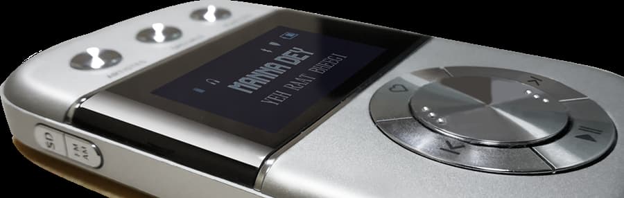 Saregama Carvaan Go Launched in India