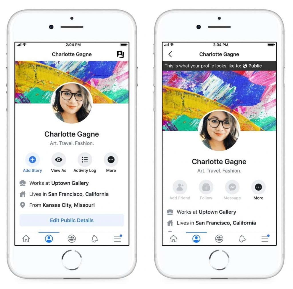 Facebook View as Public Feature